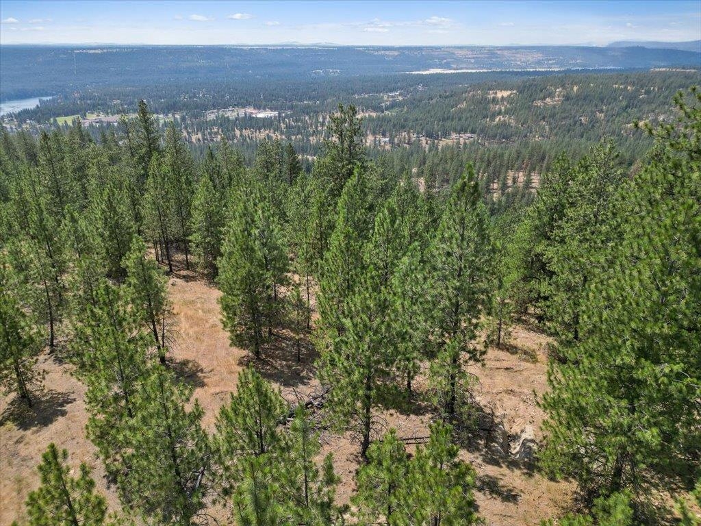 Nka Weaver Road, Unit LOT 2 OF LOT 3 Deer Park, WA 99006 - Photo 8 of 12