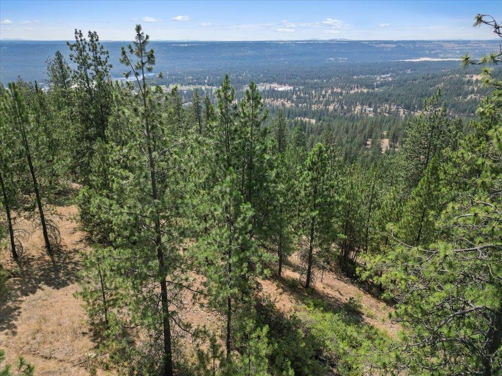 Nka Weaver Road, Unit LOT 2 OF LOT 3 Deer Park, WA 99006 - Photo 9 of 12