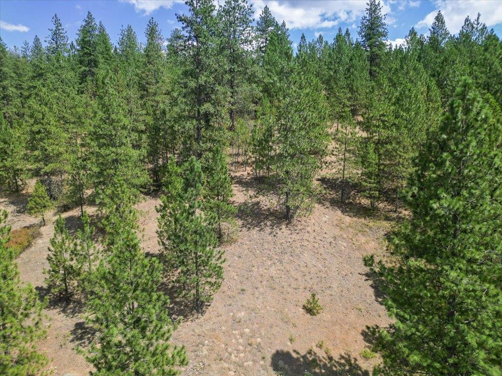 Nka Weaver Road, Unit LOT 2 OF LOT 3 Deer Park, WA 99006 - Photo 10 of 12
