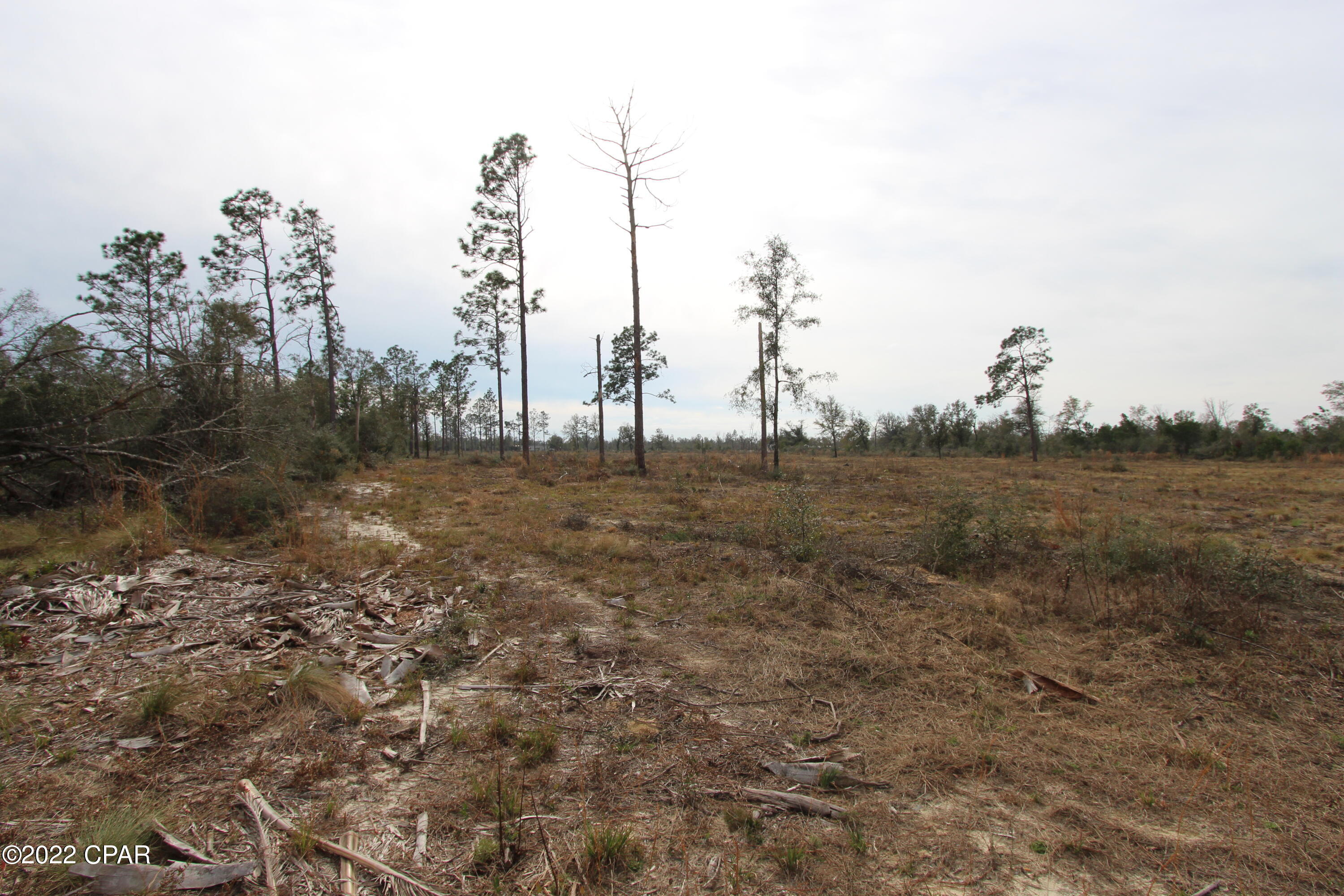 0 Rabbit Run Road Youngstown, FL 32466 - Photo 16 of 18 Gallery Image 16