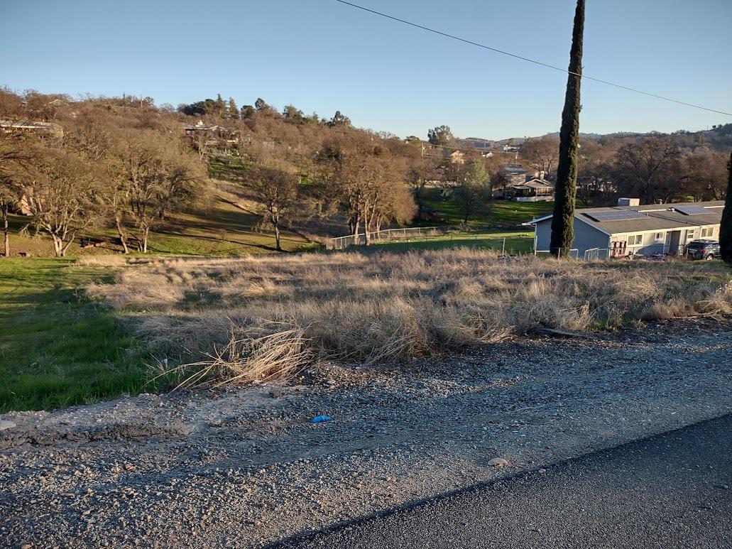 a view of a dry yard with trees