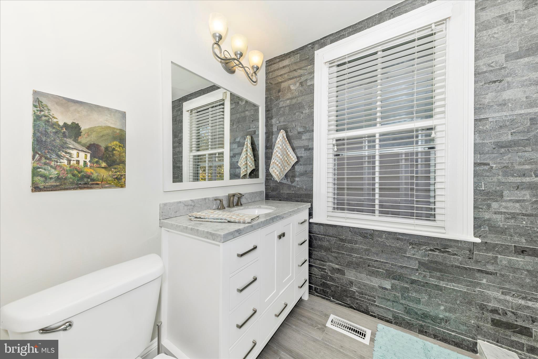 203 East 3rd Street Frederick, MD 21701 - Photo 22 of 41 Primary Bathroom