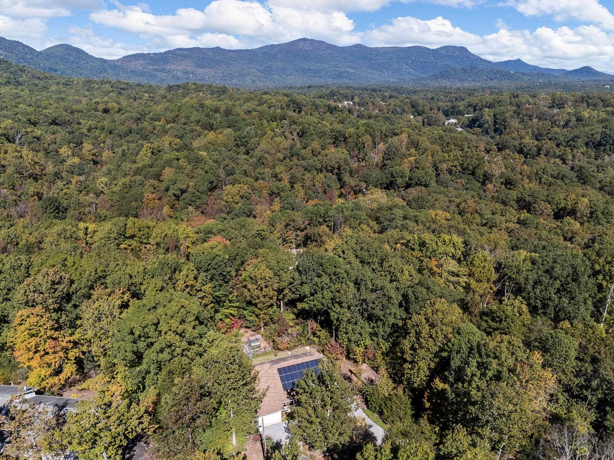 160 Caledonia Road Landrum, SC 29356 - Photo 3 of 50 Mountain view with drone