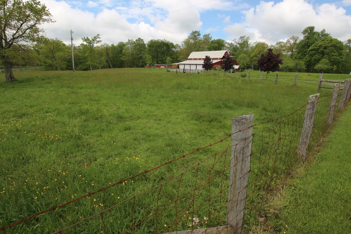 2185 Loops Road Rainelle, WV 25962 - Photo 22 of 109 300 dpi2