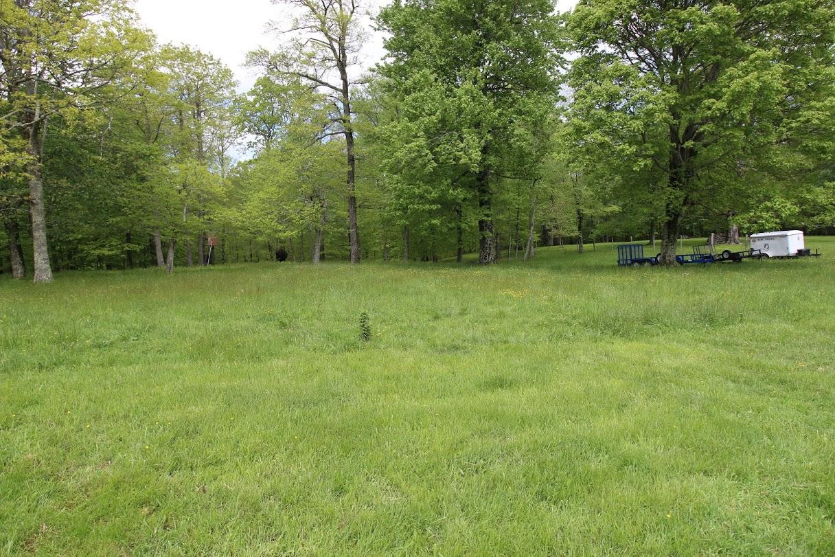 2185 Loops Road Rainelle, WV 25962 - Photo 24 of 109 a view of a field with trees in the background