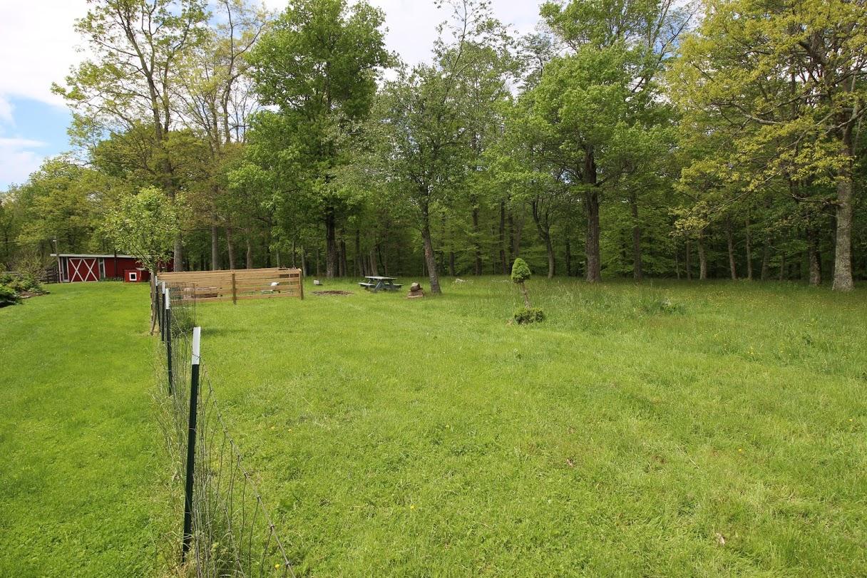 2185 Loops Road Rainelle, WV 25962 - Photo 25 of 109 300 dpi21