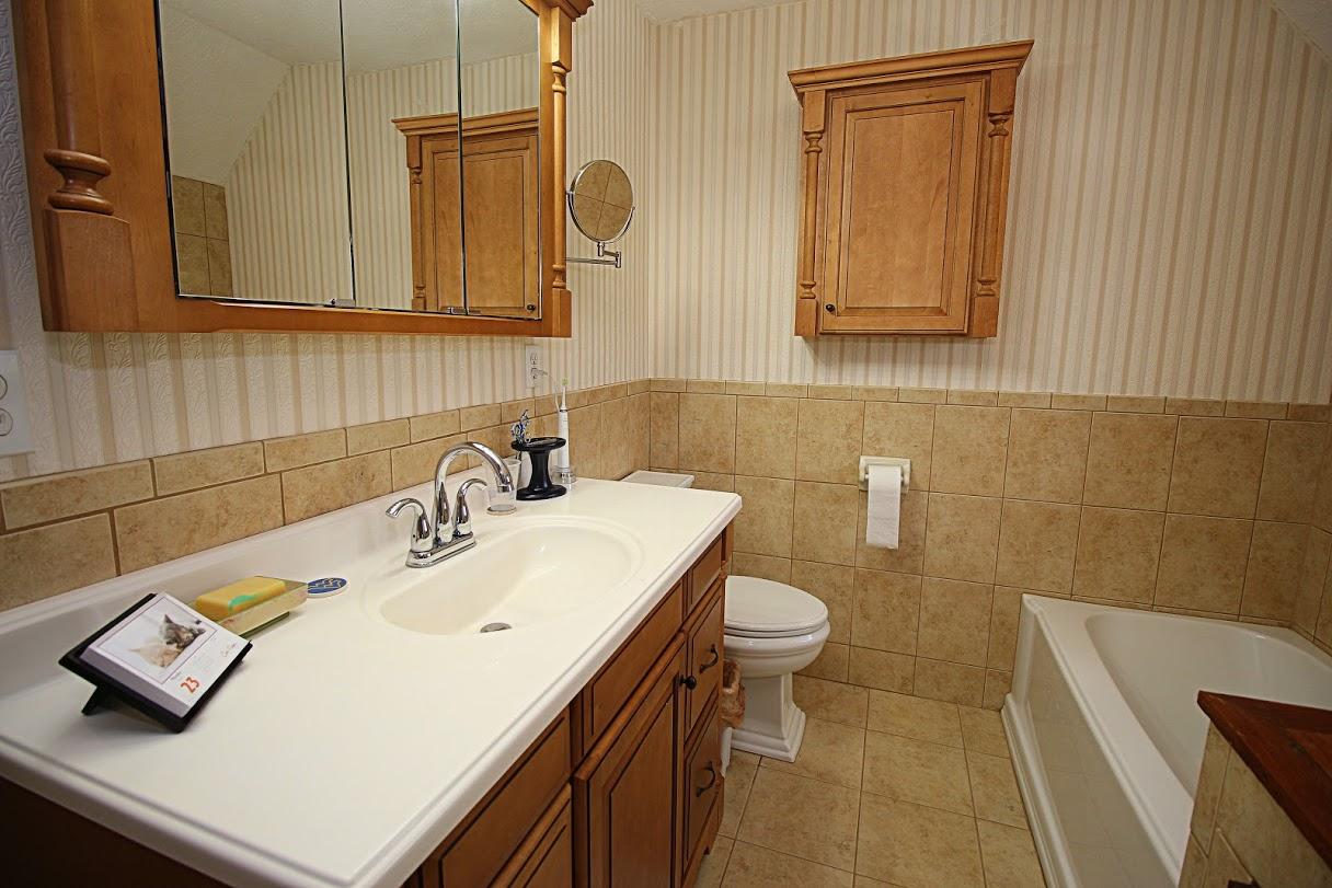 2185 Loops Road Rainelle, WV 25962 - Photo 42 of 109 a bathroom with a sink a toilet and mirror