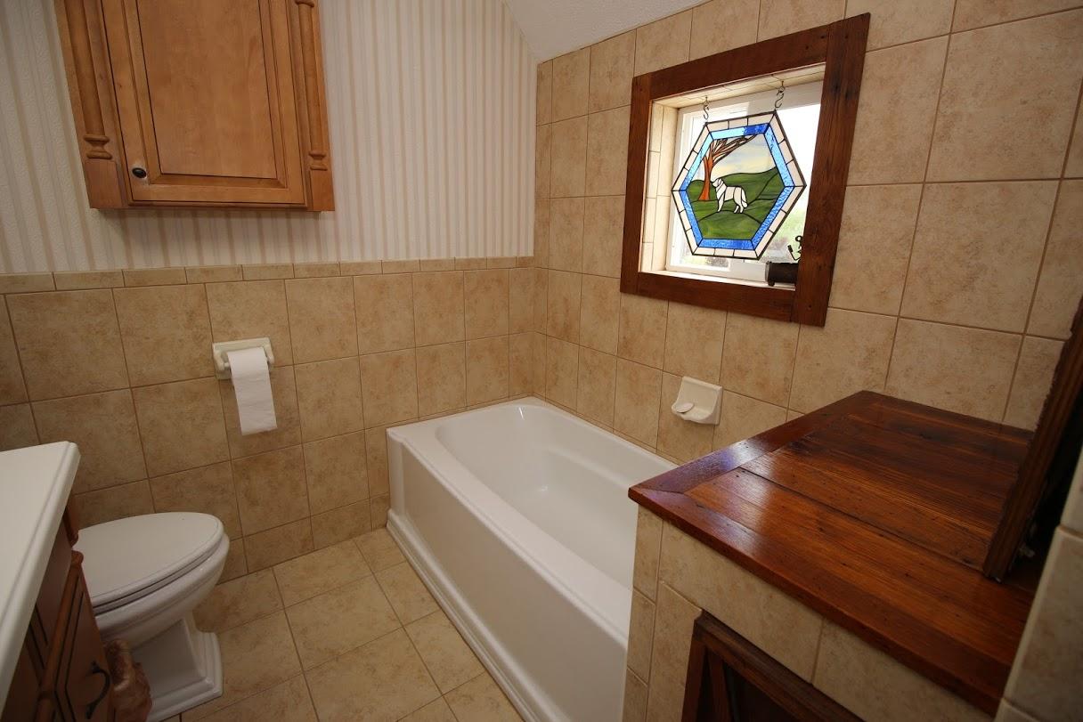 2185 Loops Road Rainelle, WV 25962 - Photo 43 of 109 a bathroom with a sink a toilet and mirror