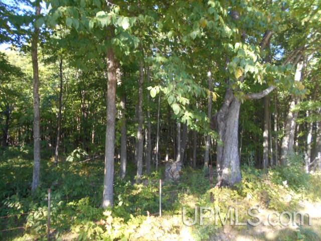 Tbd Miller Road Florence, WI 54121 - Photo 23 of 24