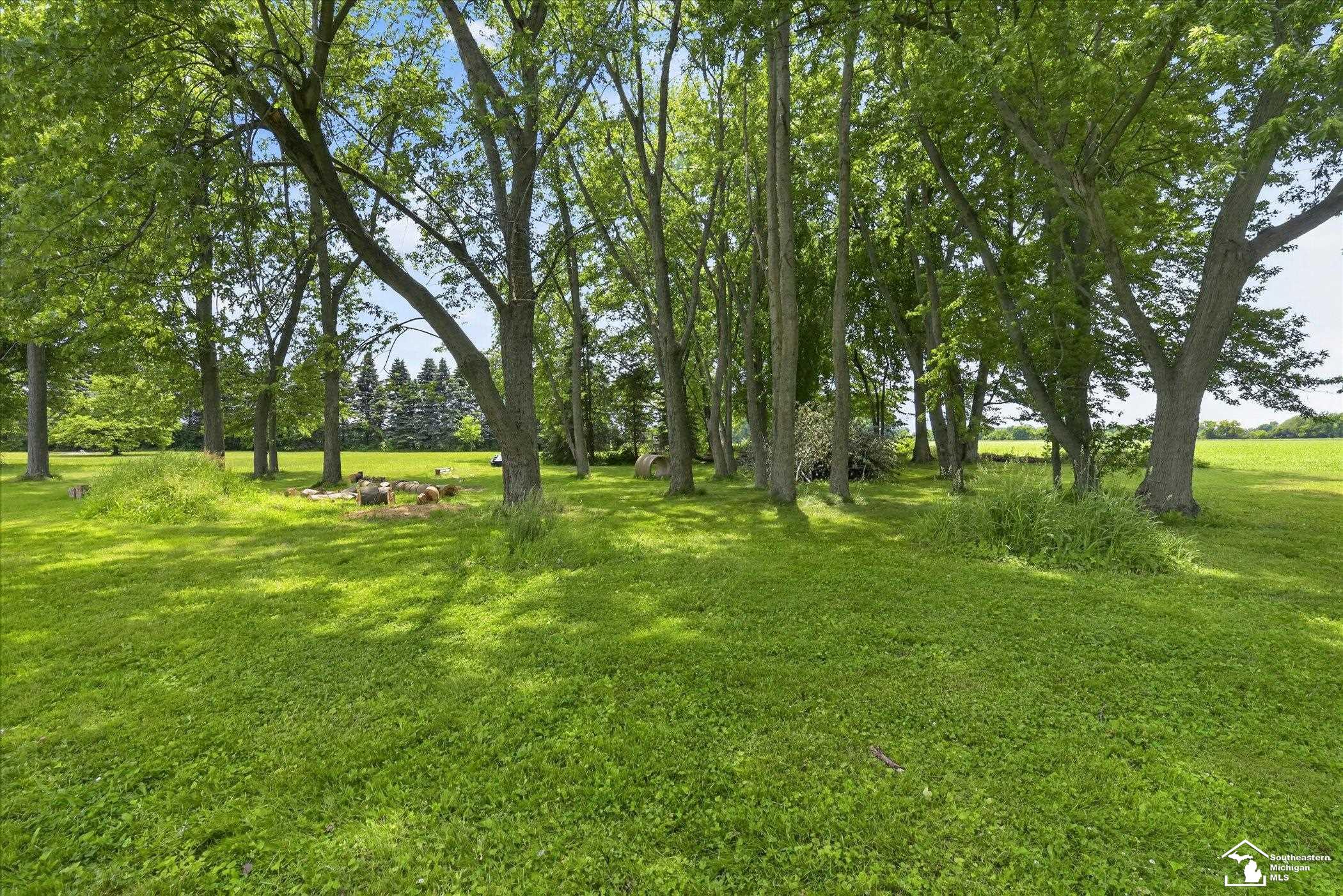 5813 West Temperance Road Ottawa Lake, MI 49267 - Photo 7 of 45