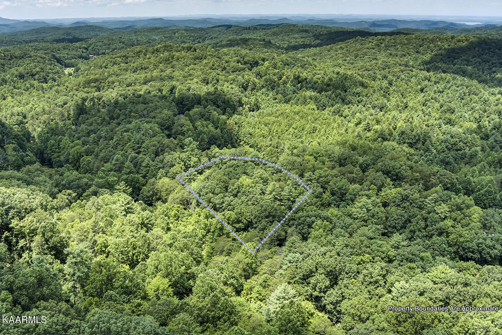 2191 Mt Pleasant Road Vonore, TN 37885 - Photo 11 of 19 a view of a lush green forest with lots of trees
