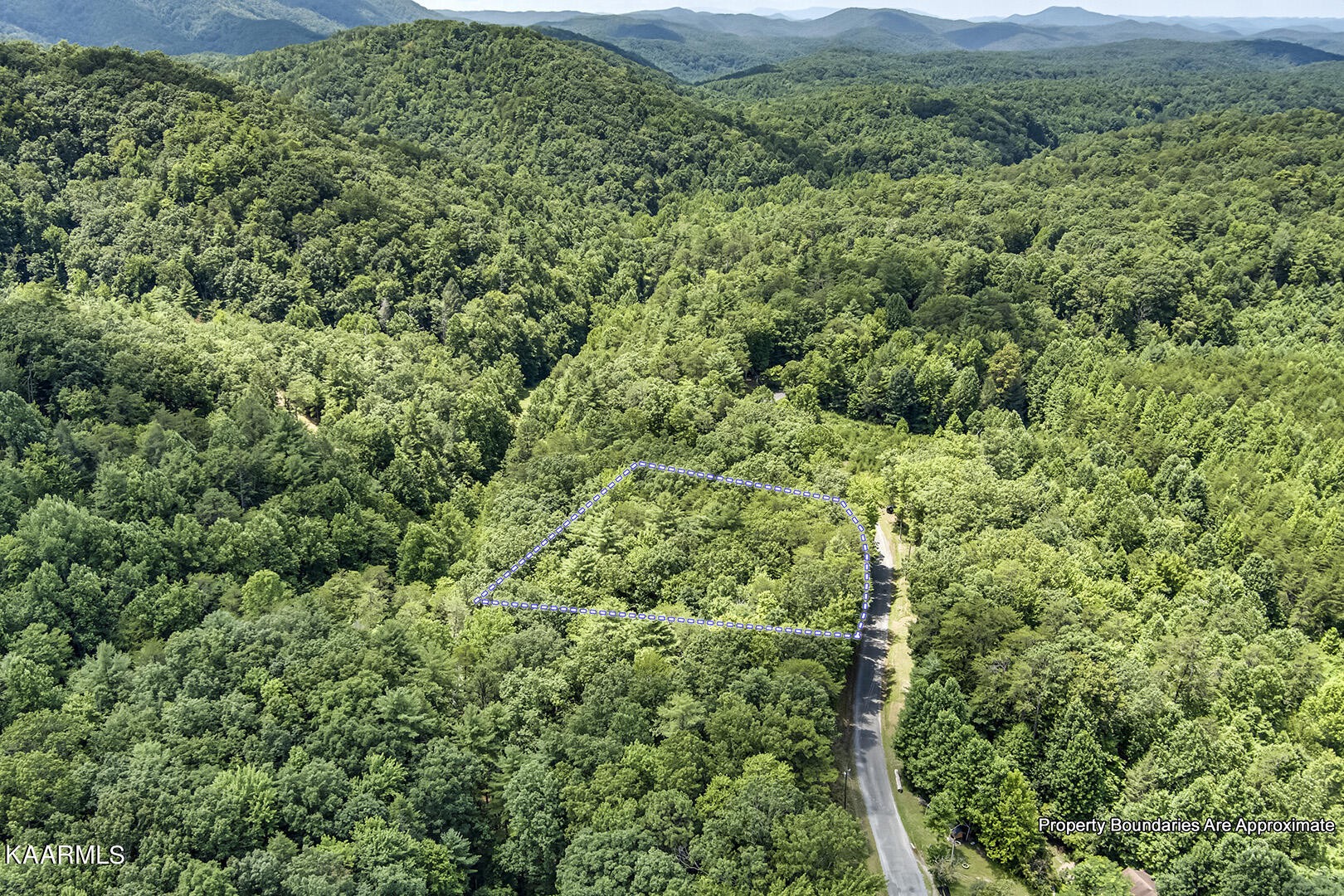 2191 Mt Pleasant Road Vonore, TN 37885 - Photo 12 of 19 a view of a lush green forest with trees and houses