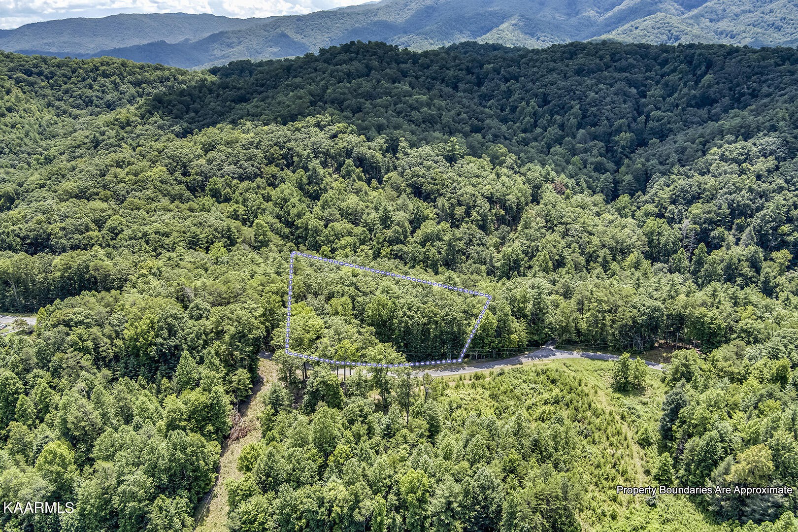 2191 Mt Pleasant Road Vonore, TN 37885 - Photo 14 of 19 a view of a lush green forest with lots of trees