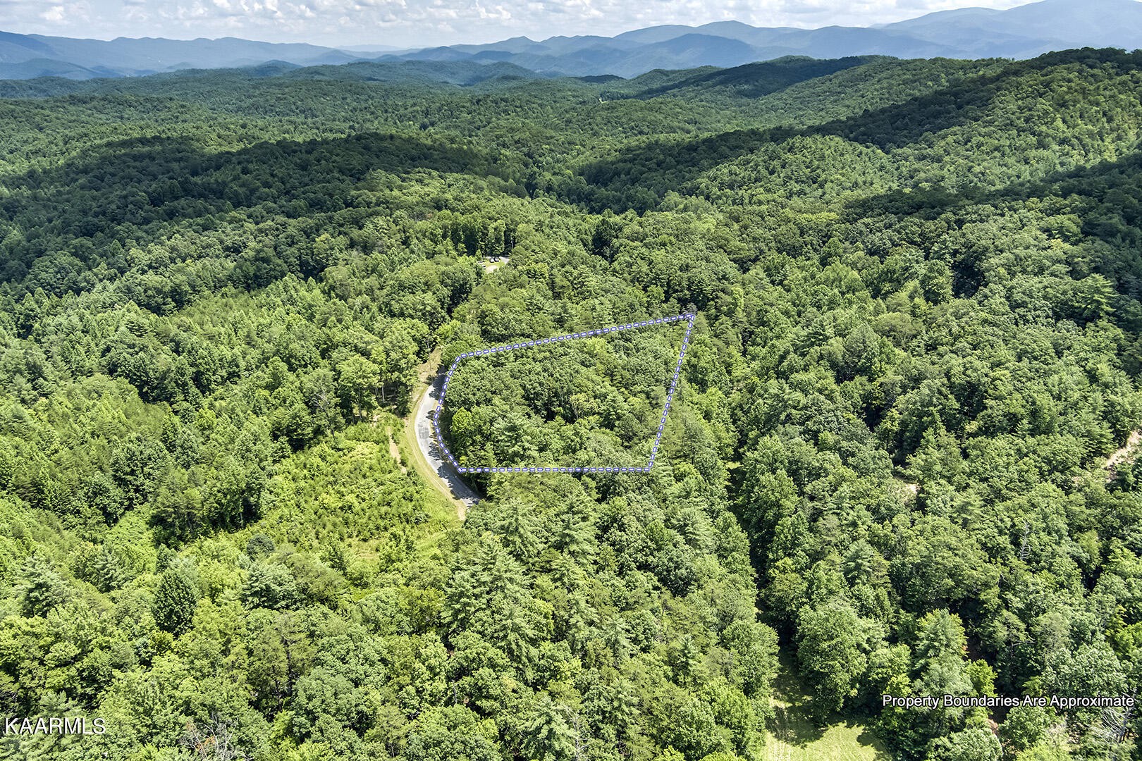 2191 Mt Pleasant Road Vonore, TN 37885 - Photo 16 of 19 a view of a lush green forest with lots of trees