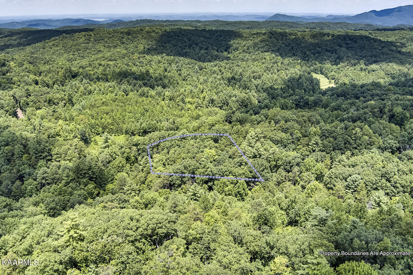 2191 Mt Pleasant Road Vonore, TN 37885 - Photo 18 of 19 a view of a lush green forest with lots of trees