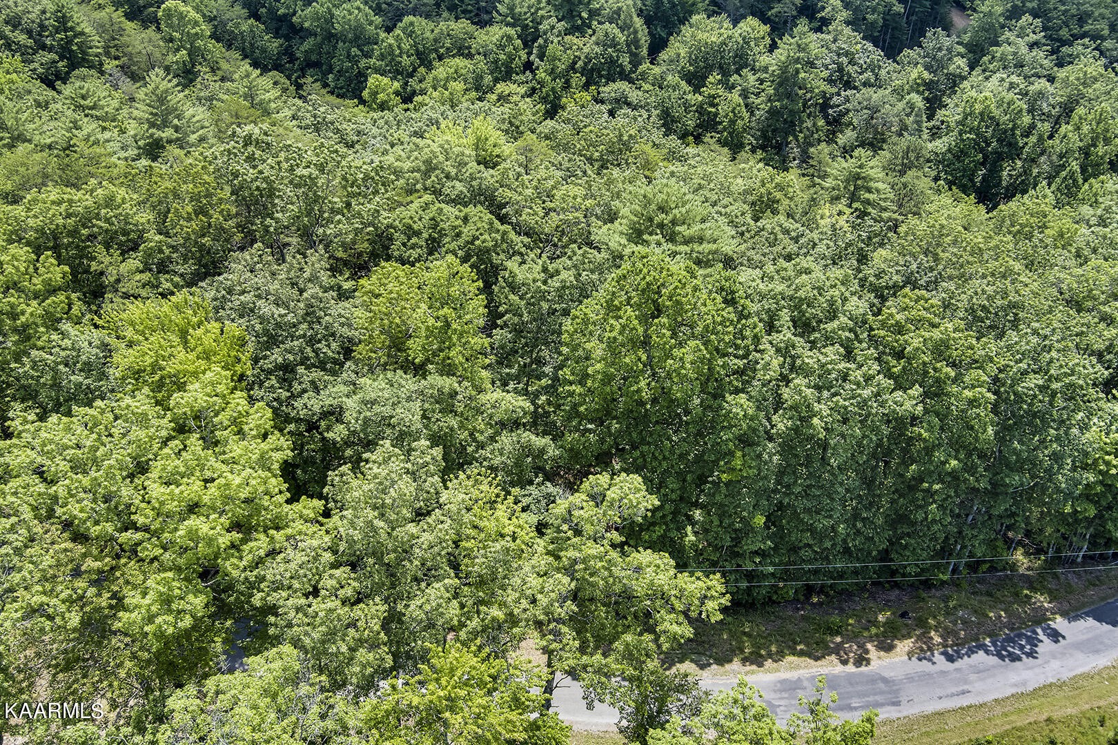 2191 Mt Pleasant Road Vonore, TN 37885 - Photo 3 of 19 an aerial view of residential house with outdoor space and trees all around