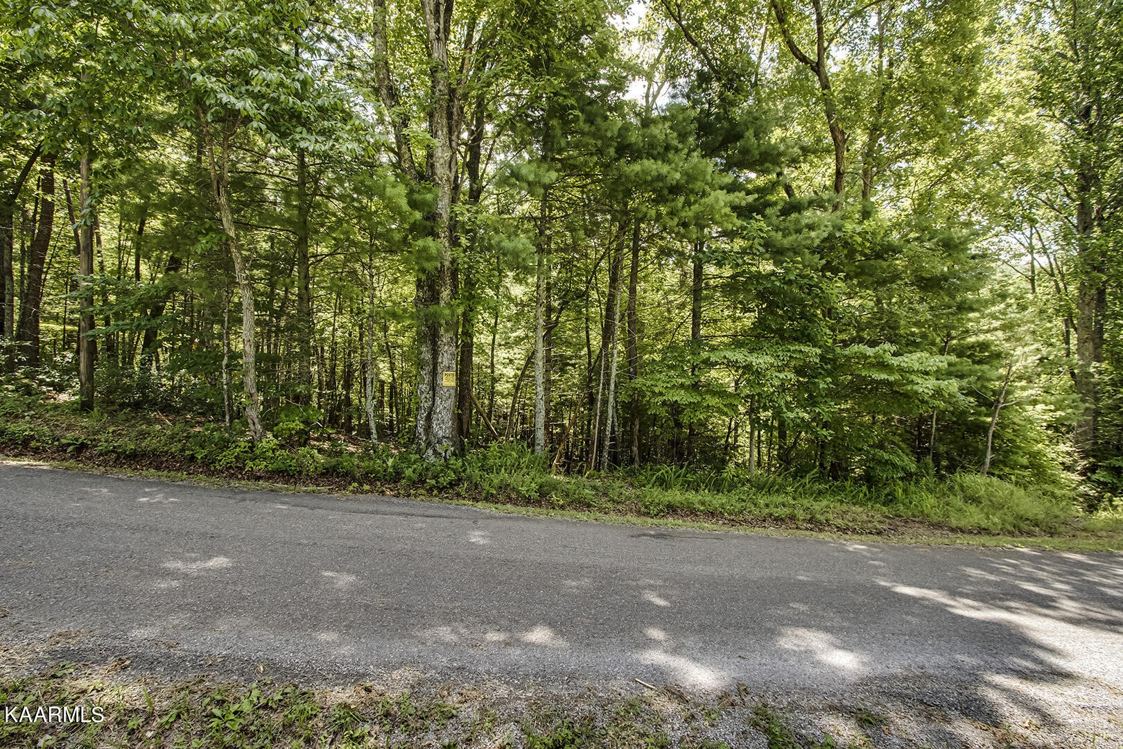 2191 Mt Pleasant Road Vonore, TN 37885 - Photo 4 of 19 a view of outdoor space with trees