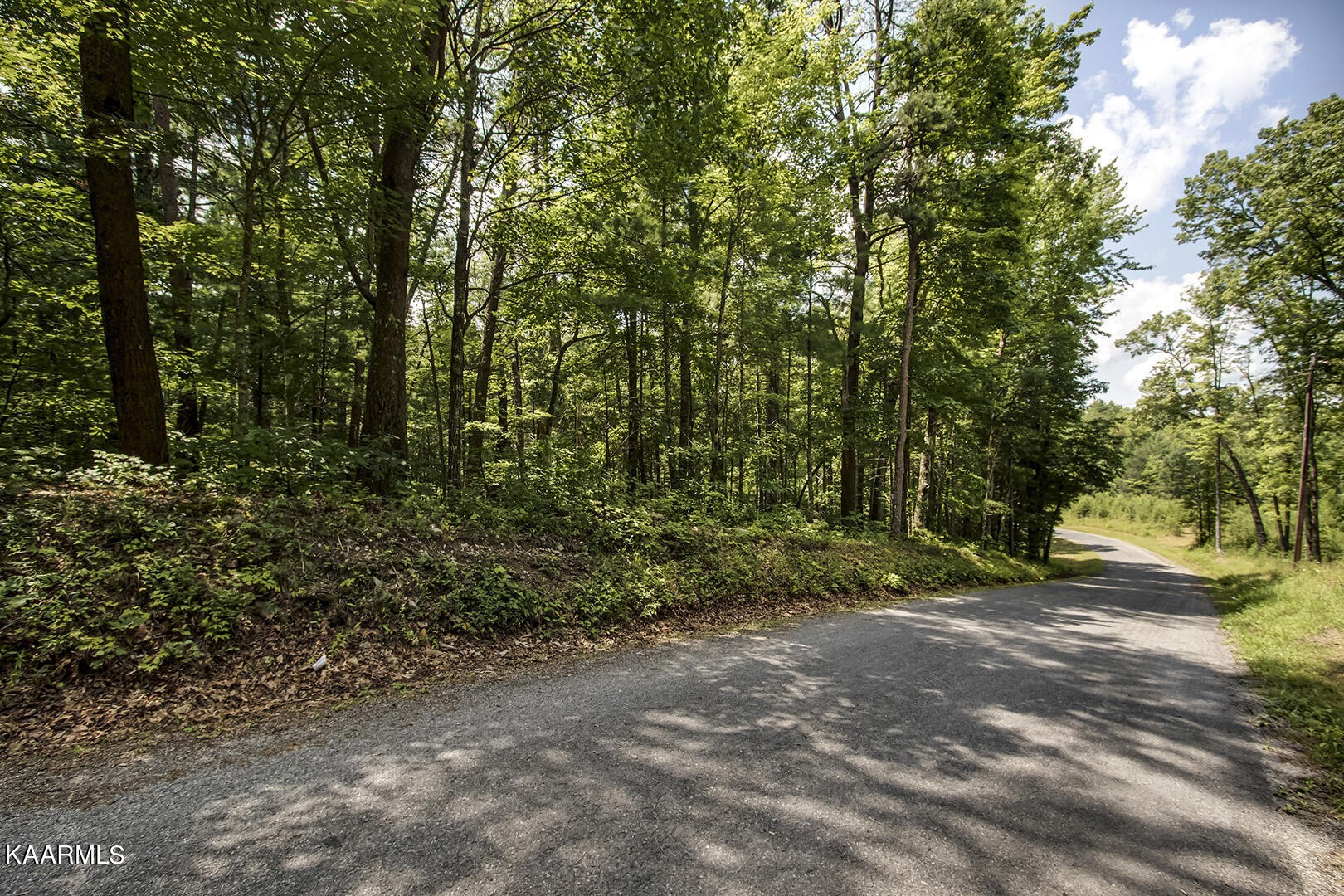 2191 Mt Pleasant Road Vonore, TN 37885 - Photo 6 of 19 a view of outdoor space and trees
