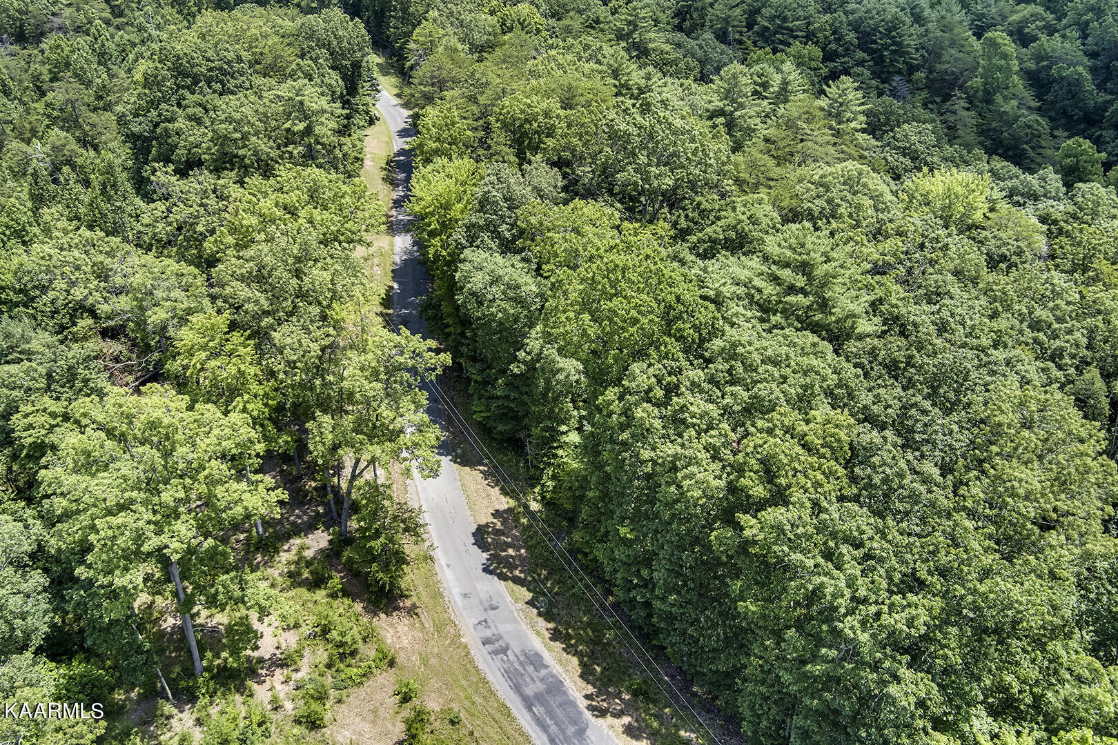 2191 Mt Pleasant Road Vonore, TN 37885 - Photo 7 of 19 an aerial view of a houses with yard