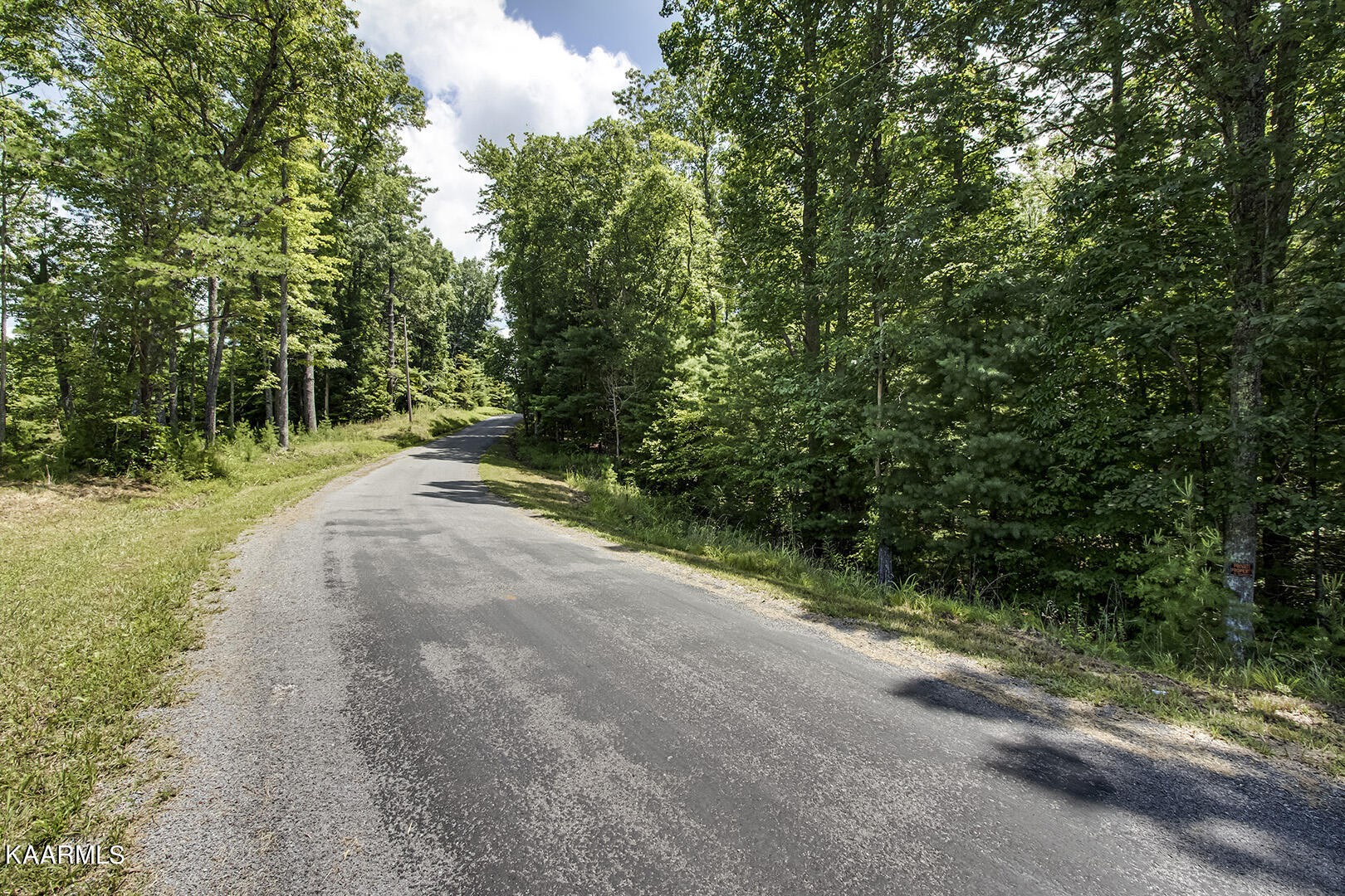 2191 Mt Pleasant Road Vonore, TN 37885 - Photo 8 of 19 a view of a road with a yard