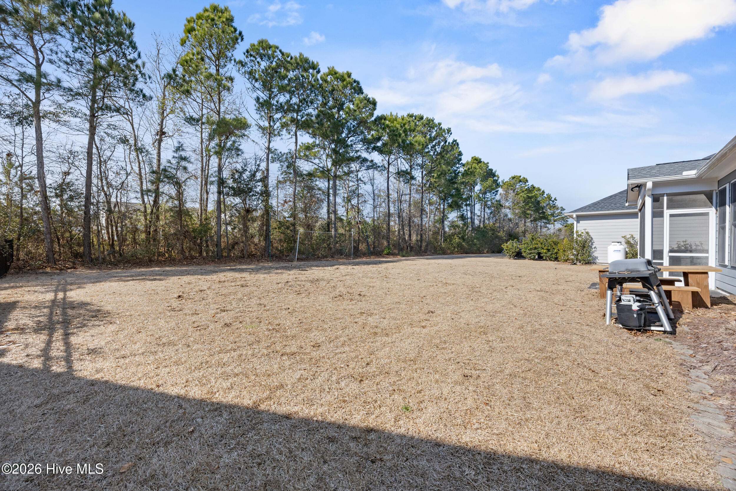80 Radiance Way Hampstead, NC 28443 - Photo 45 of 50 62_backyard