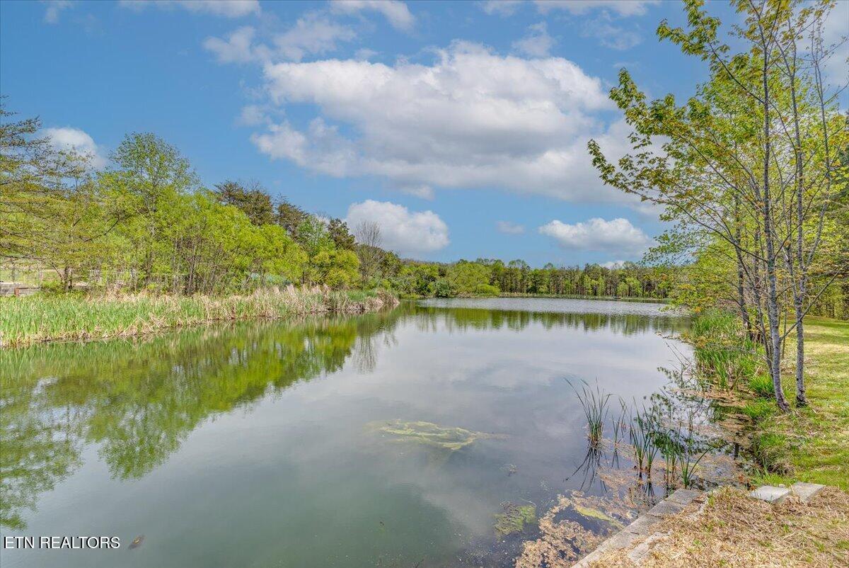 67 Lady Slipper Road Graysville, TN 37338 - Photo 11 of 58 12-Pond view A1