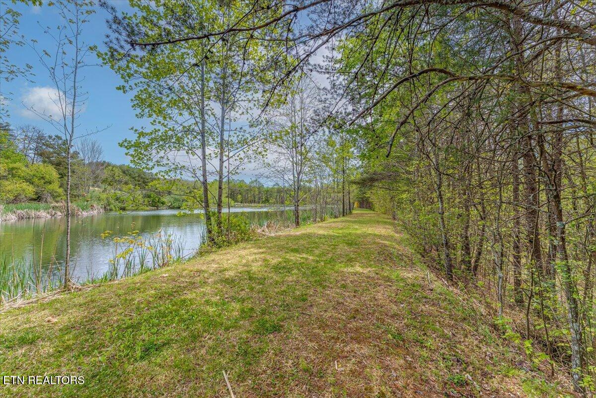 67 Lady Slipper Road Graysville, TN 37338 - Photo 12 of 58 13-Pond Trail A1