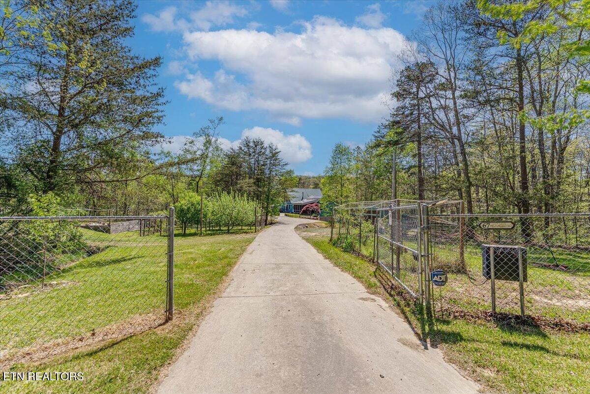 67 Lady Slipper Road Graysville, TN 37338 - Photo 14 of 58 15-Driveway A1
