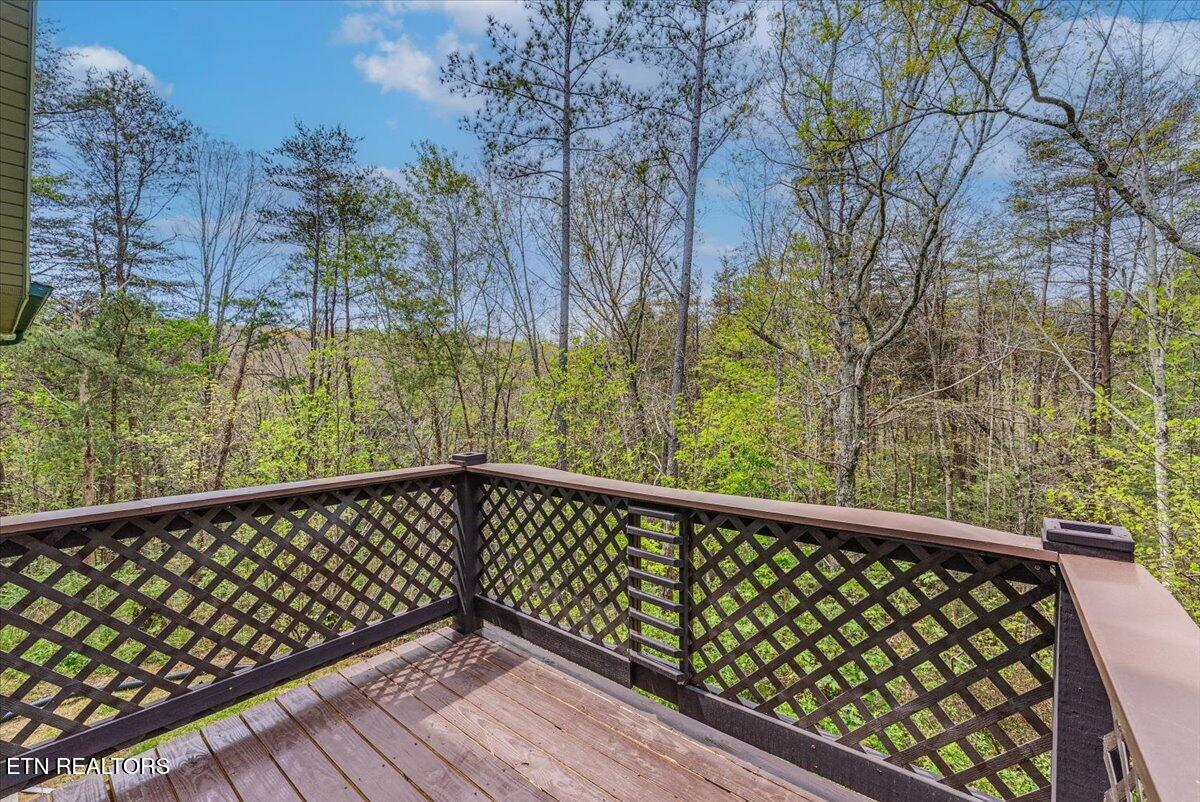 67 Lady Slipper Road Graysville, TN 37338 - Photo 43 of 58 Back Deck