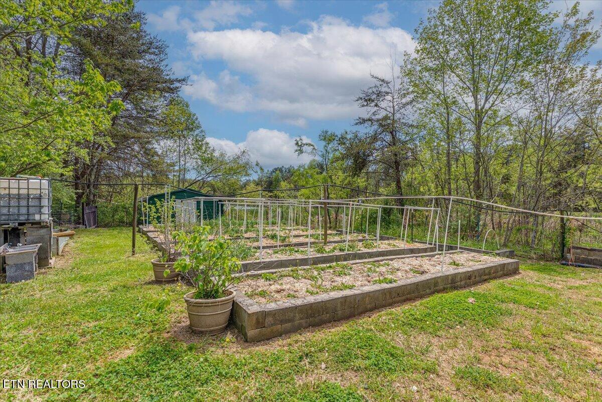 67 Lady Slipper Road Graysville, TN 37338 - Photo 44 of 58 Garden A1
