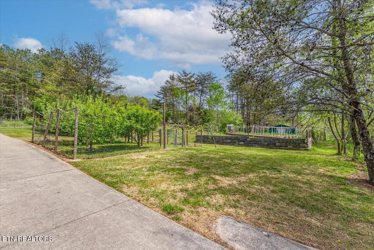 67 Lady Slipper Road Graysville, TN 37338 - Photo 45 of 58 Garden A2