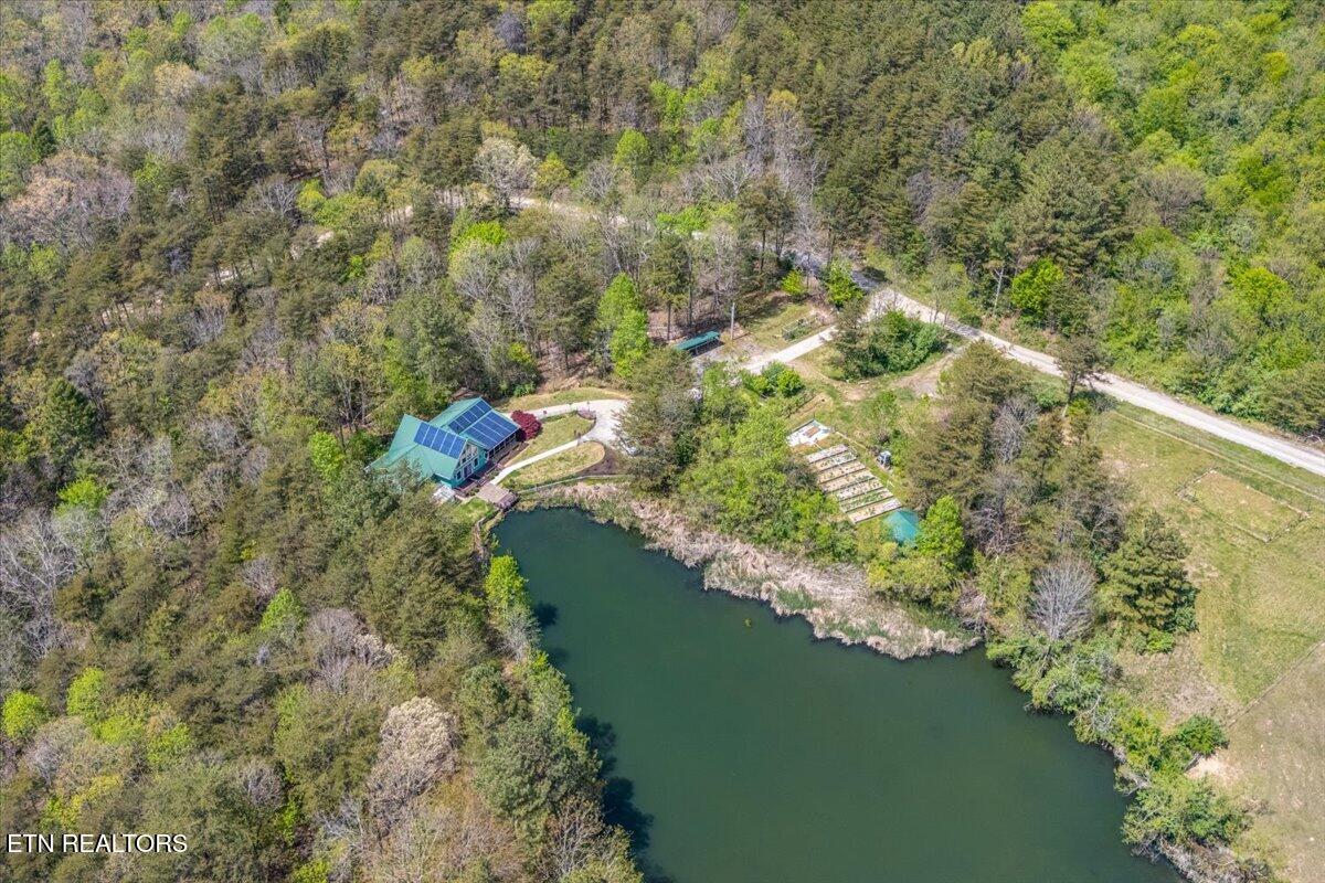 67 Lady Slipper Road Graysville, TN 37338 - Photo 51 of 58 Clearing A4