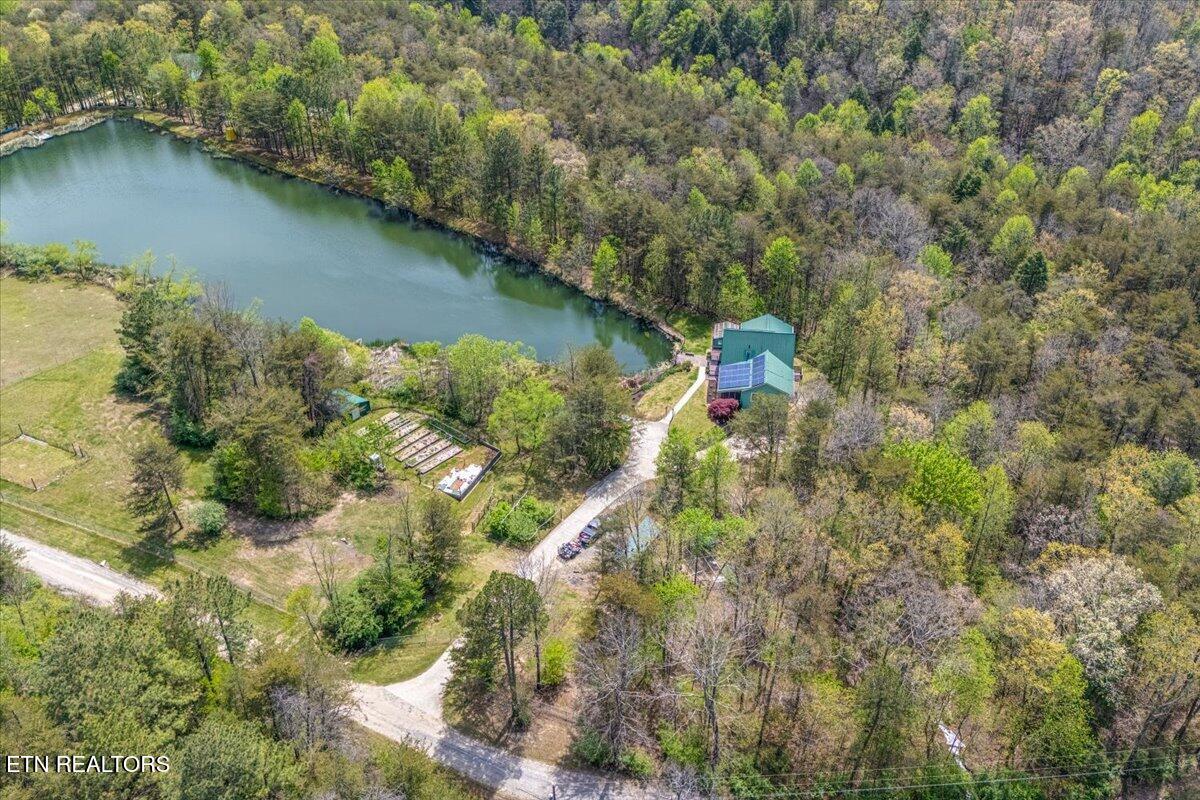 67 Lady Slipper Road Graysville, TN 37338 - Photo 53 of 58 Clearing A2