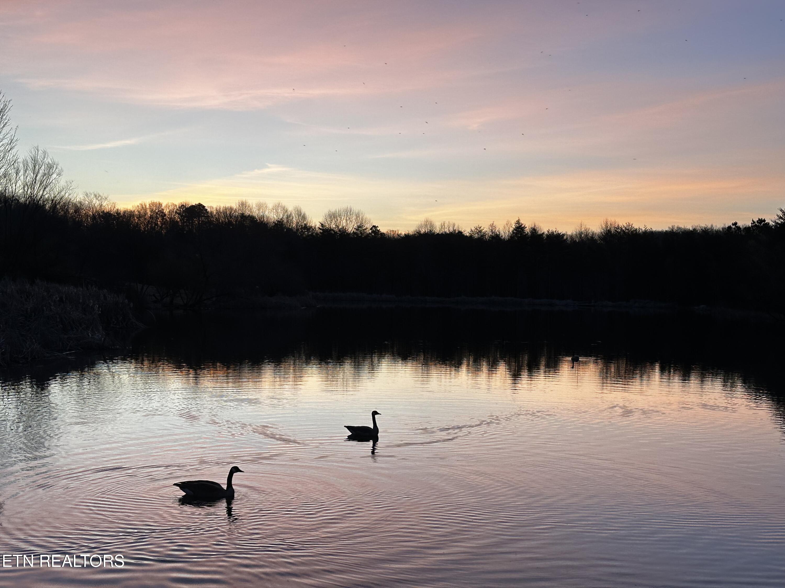 67 Lady Slipper Road Graysville, TN 37338 - Photo 57 of 58 Sunset