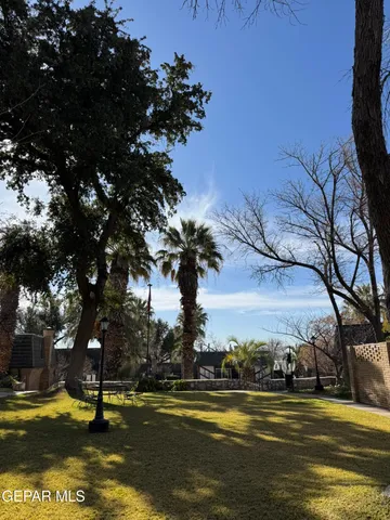 a view of a yard with plants and wooden fence