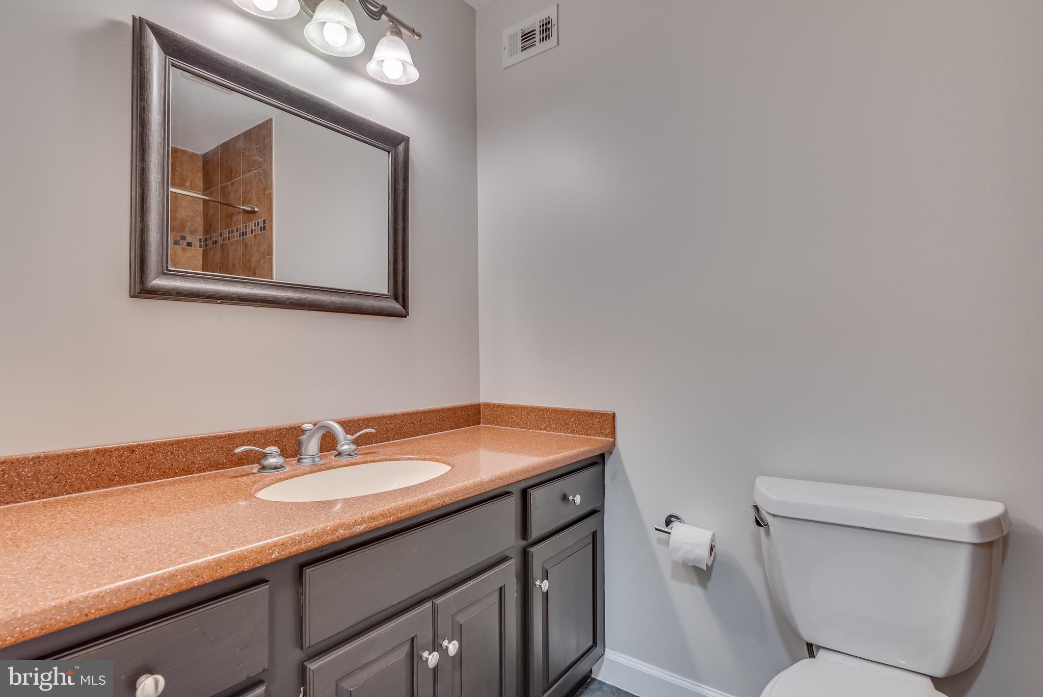 16332 Hampton Road Hamilton, VA 20158 - Photo 40 of 86 Second full ba on main level tiled bath