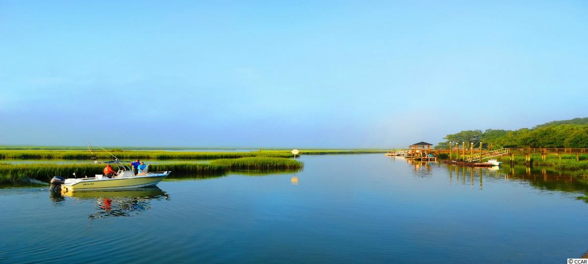 5876 Longwood Drive, Unit 101 Murrells Inlet, SC 29576 - Photo 19 of 25