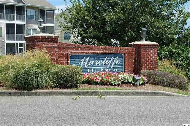 5876 Longwood Drive, Unit 101 Murrells Inlet, SC 29576 - Photo 24 of 25