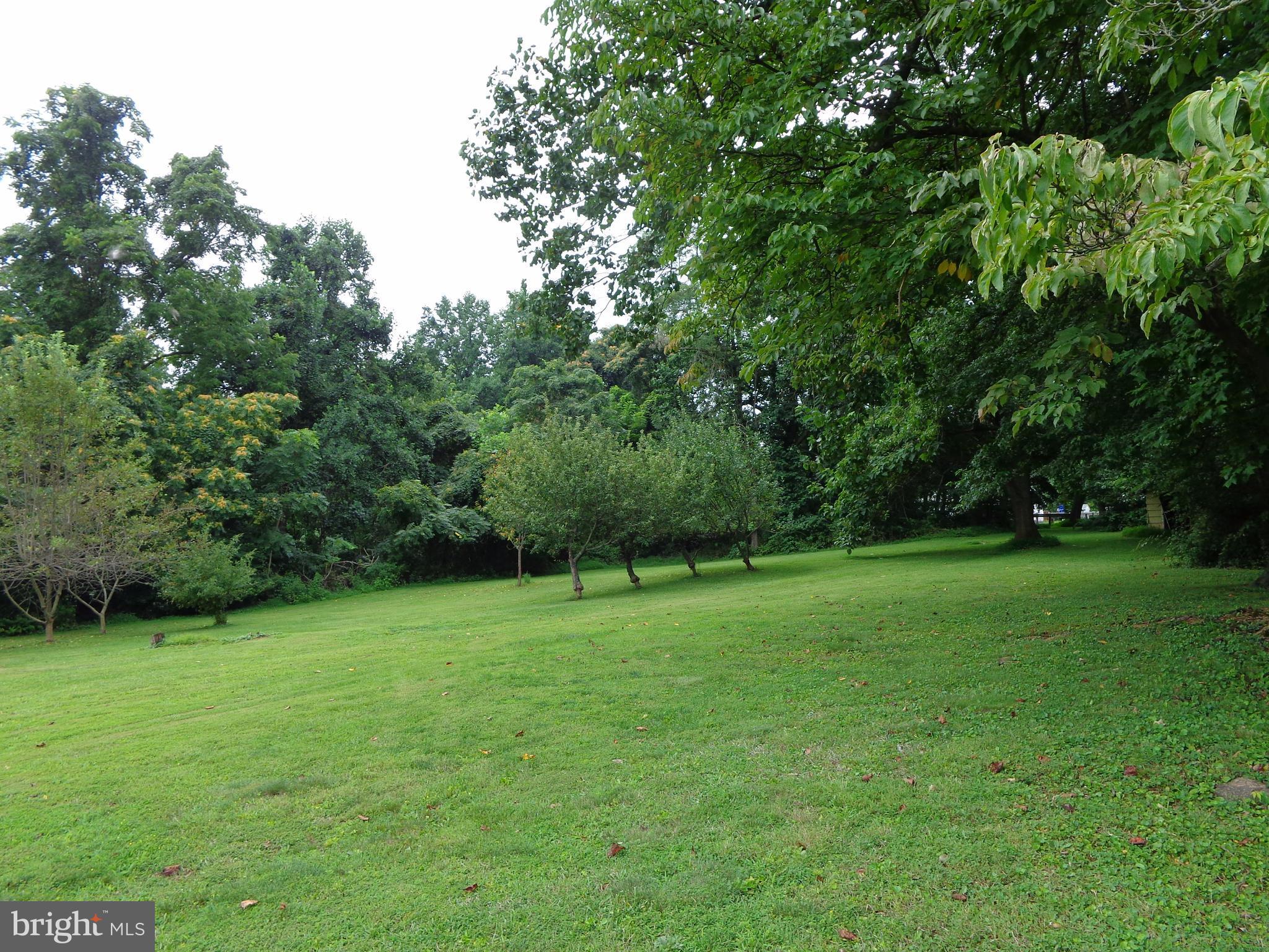 3318 Cedar Church Road Darlington, MD 21034 - Photo 26 of 30 Exterior (Rear) fruit trees
