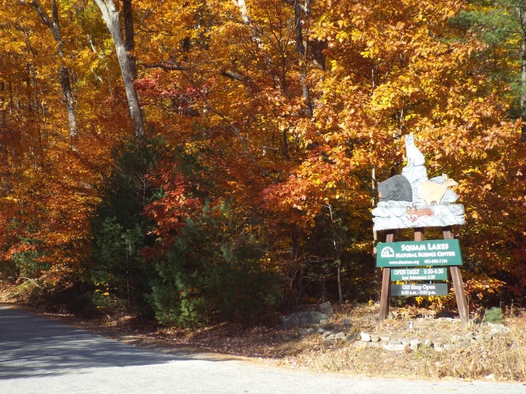 0 Lane Road Holderness, NH 03245 - Photo 6 of 13