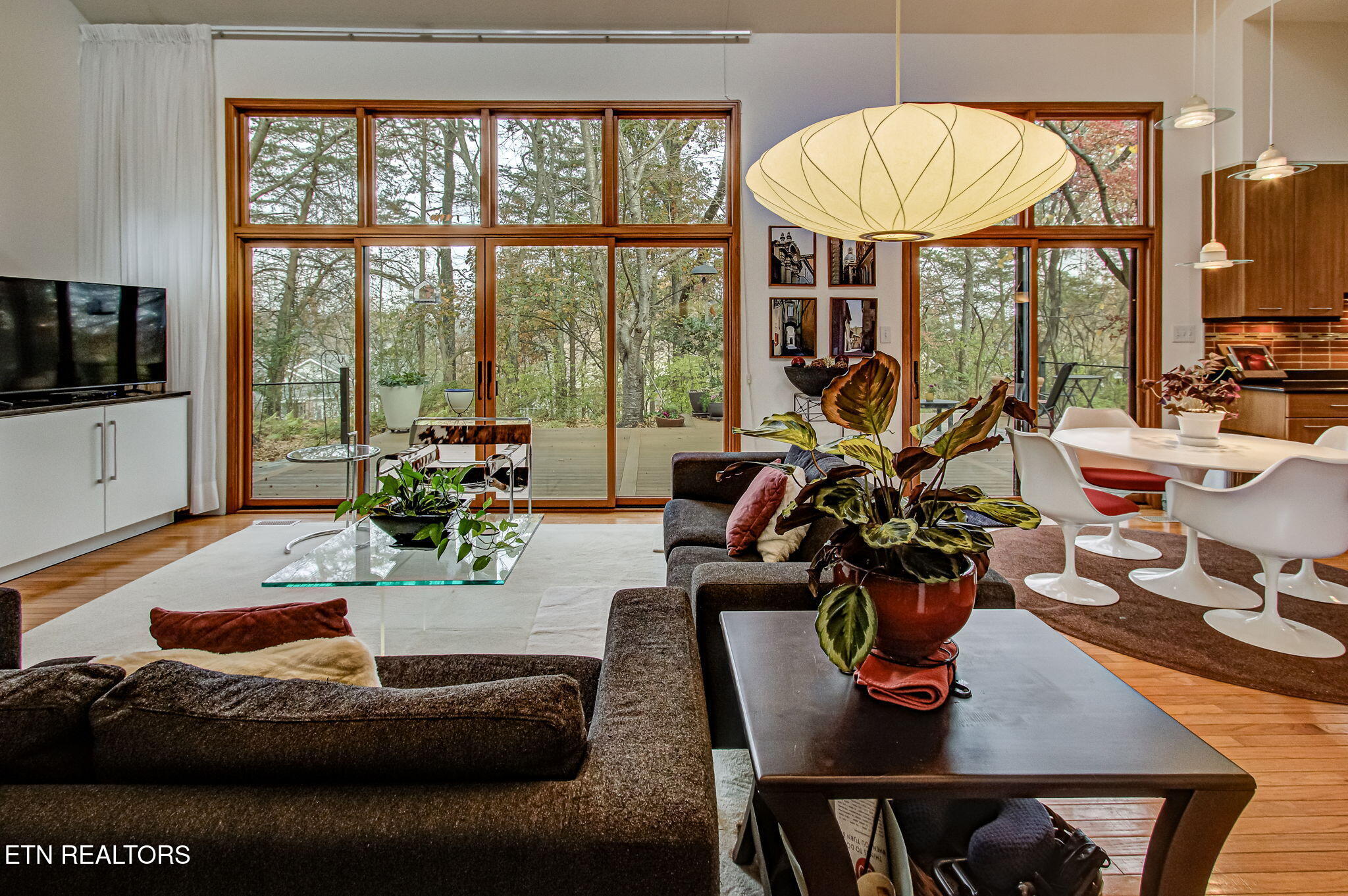 128 Santee Way Loudon, TN 37774 - Photo 2 of 48 Great Room