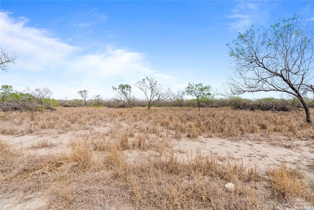 Lot 3-440 County Road Alice, TX 78332 - Photo 4 of 7