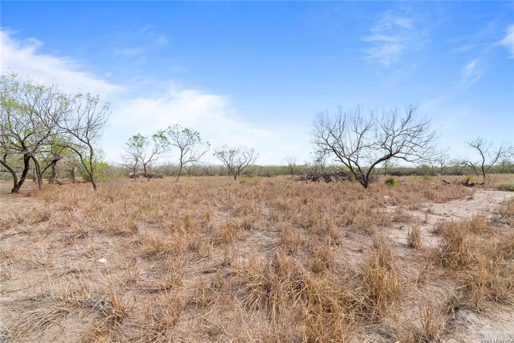 Lot 3-440 County Road Alice, TX 78332 - Photo 6 of 7
