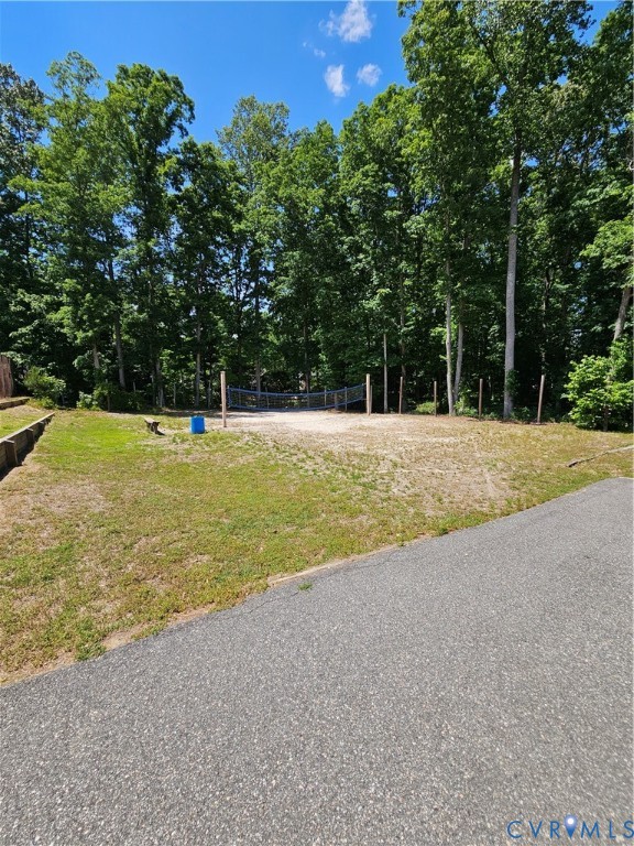 4501 Little Ridge Lane Chesterfield, VA 23832 - Photo 49 of 51