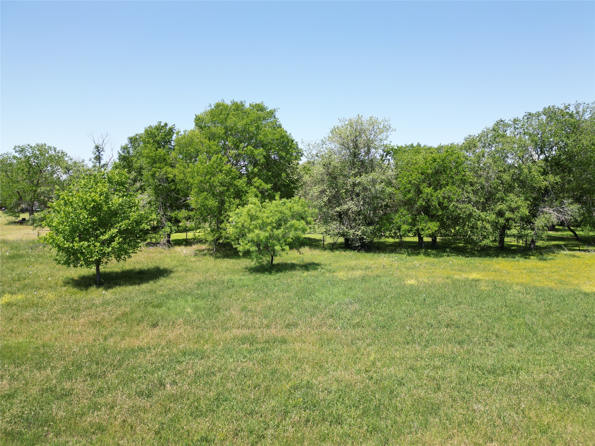 Tbd Blanco Avenue Luling, TX 78648 - Photo 8 of 10 a view of a field with trees in the background