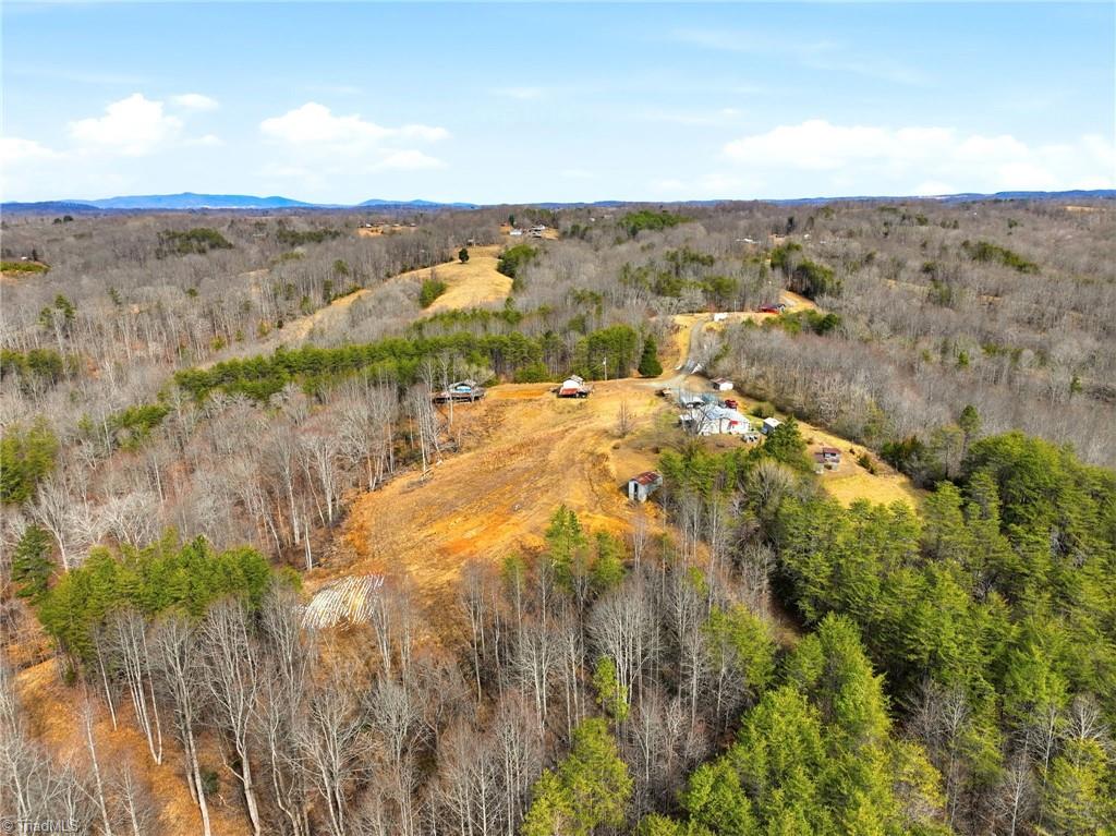 1324 Hardie Mabe Road Danbury, NC 27016 - Photo 15 of 40 Gallery Image 15