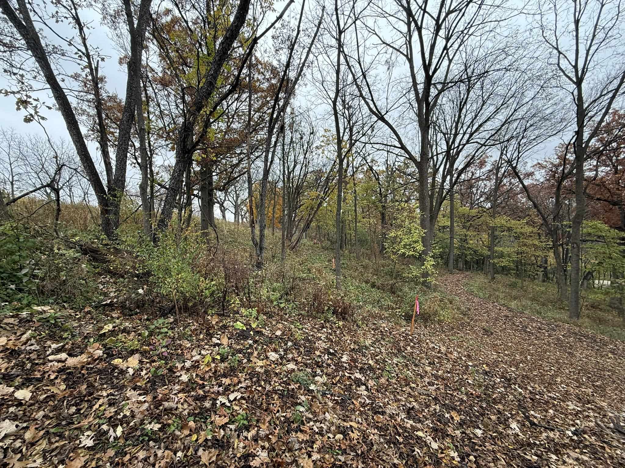 229 Whitetail Way, Unit 27 Deerfield, WI 53531 - Photo 30 of 56