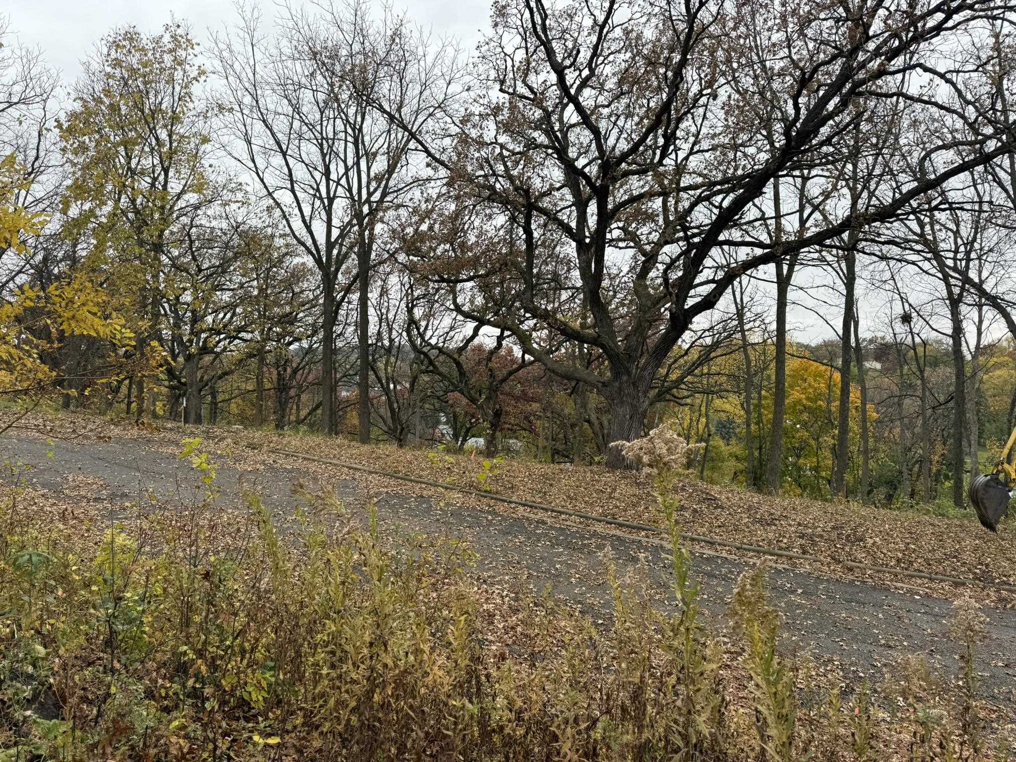 229 Whitetail Way, Unit 27 Deerfield, WI 53531 - Photo 32 of 56