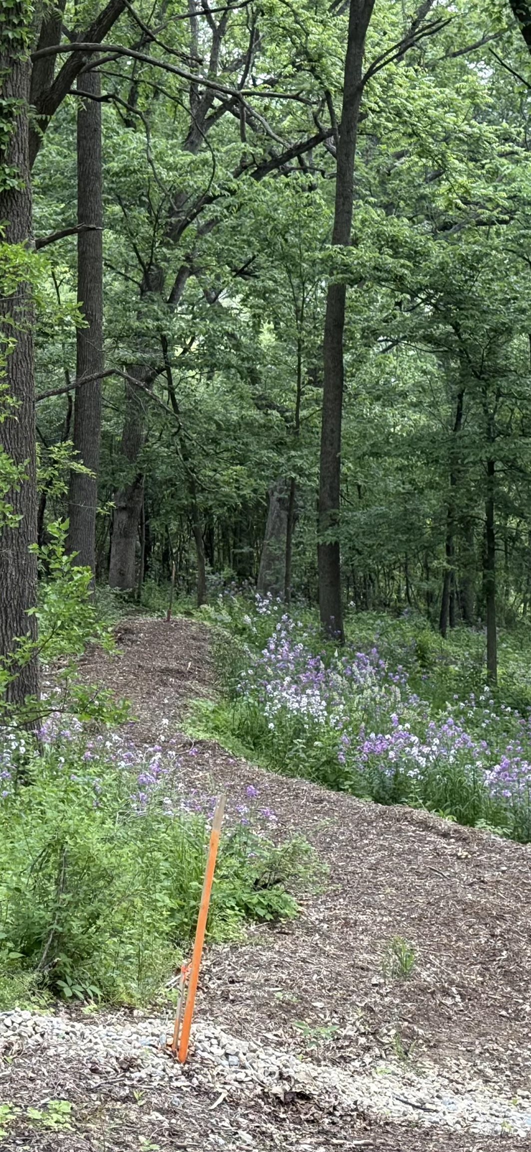 229 Whitetail Way, Unit 27 Deerfield, WI 53531 - Photo 49 of 56