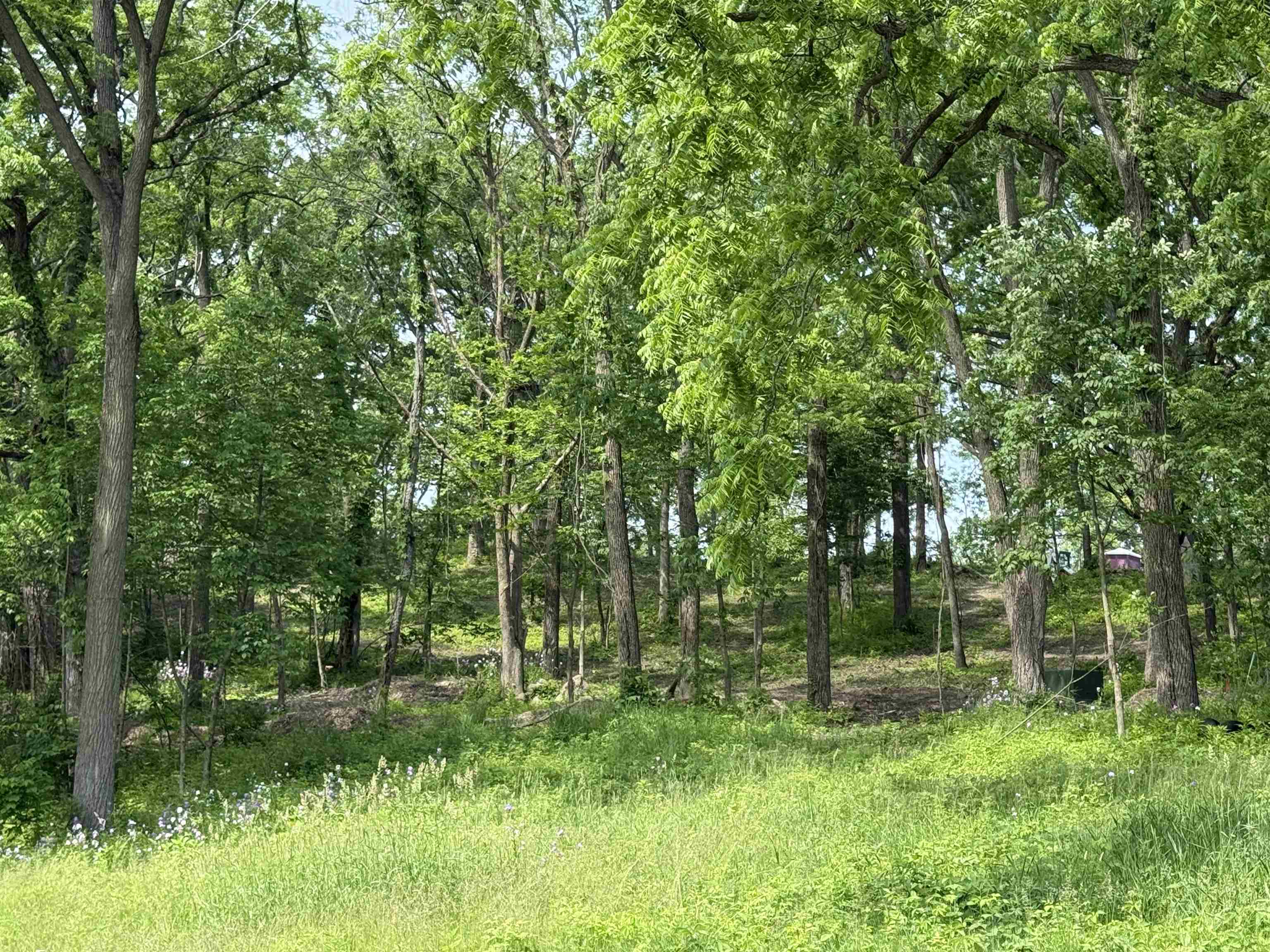 229 Whitetail Way, Unit 27 Deerfield, WI 53531 - Photo 68 of 74